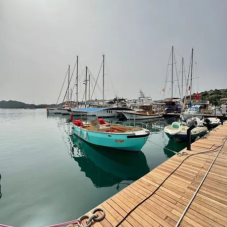 Flower Kekova Проживание в семье